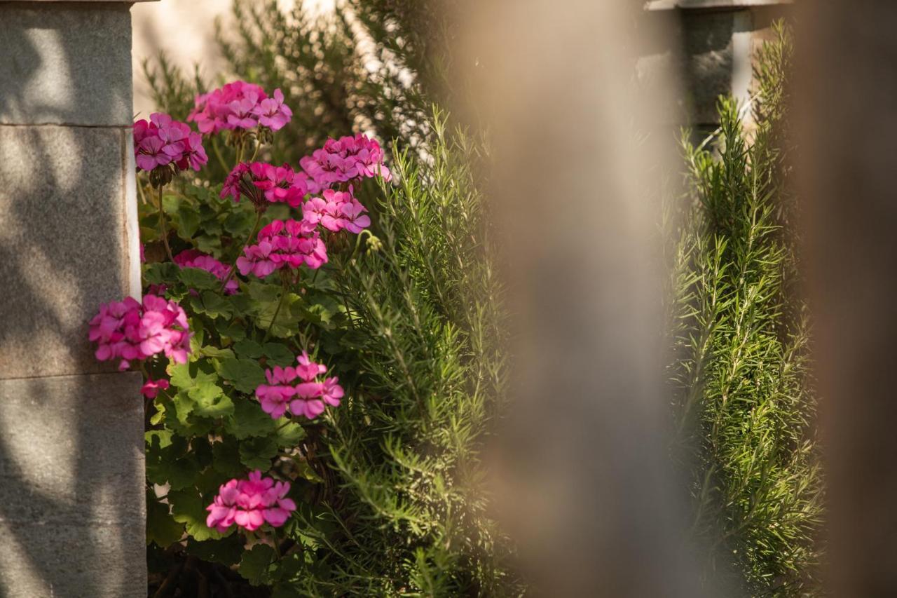 Villa Georgina B&B カタコロン エクステリア 写真