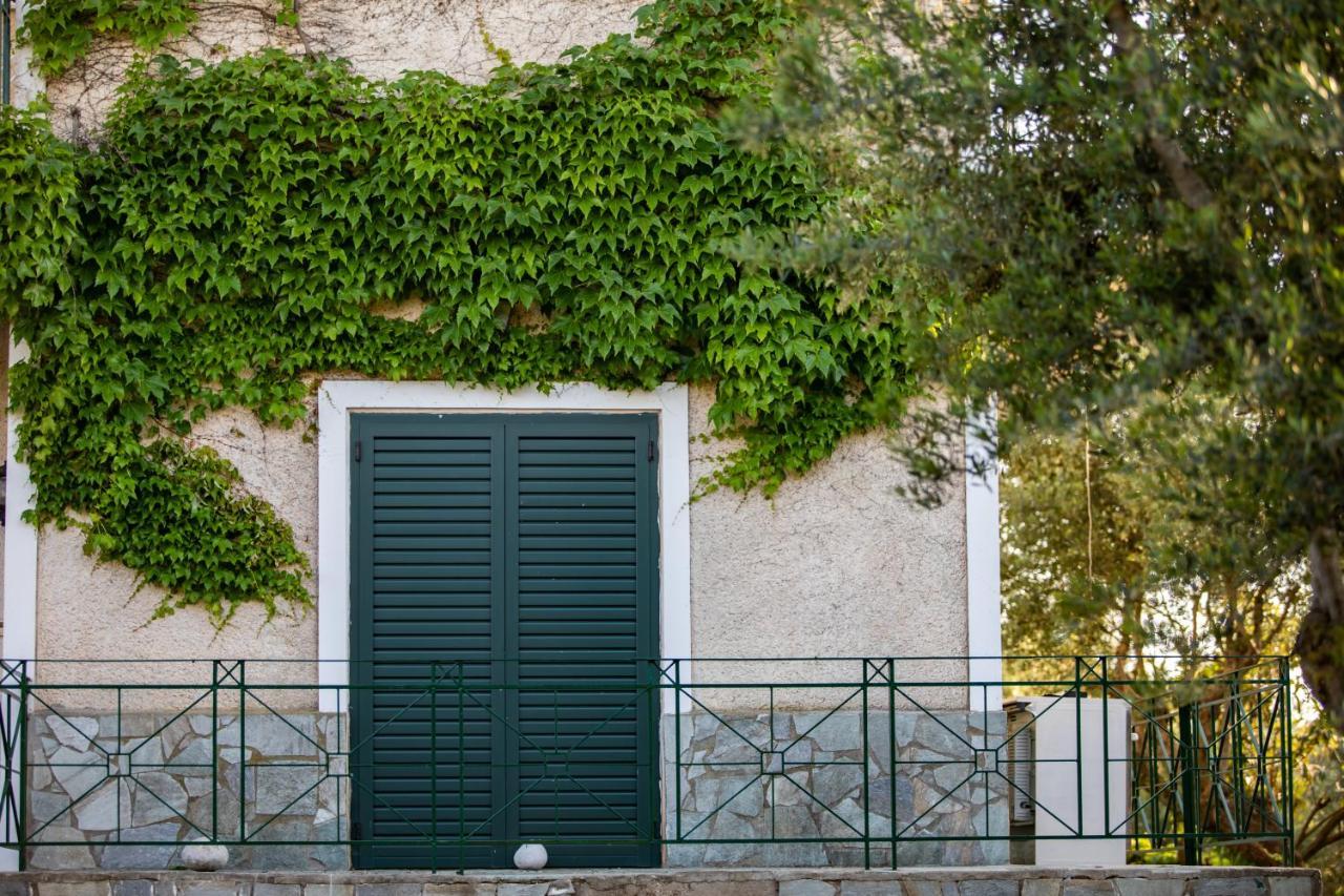 Villa Georgina B&B カタコロン エクステリア 写真