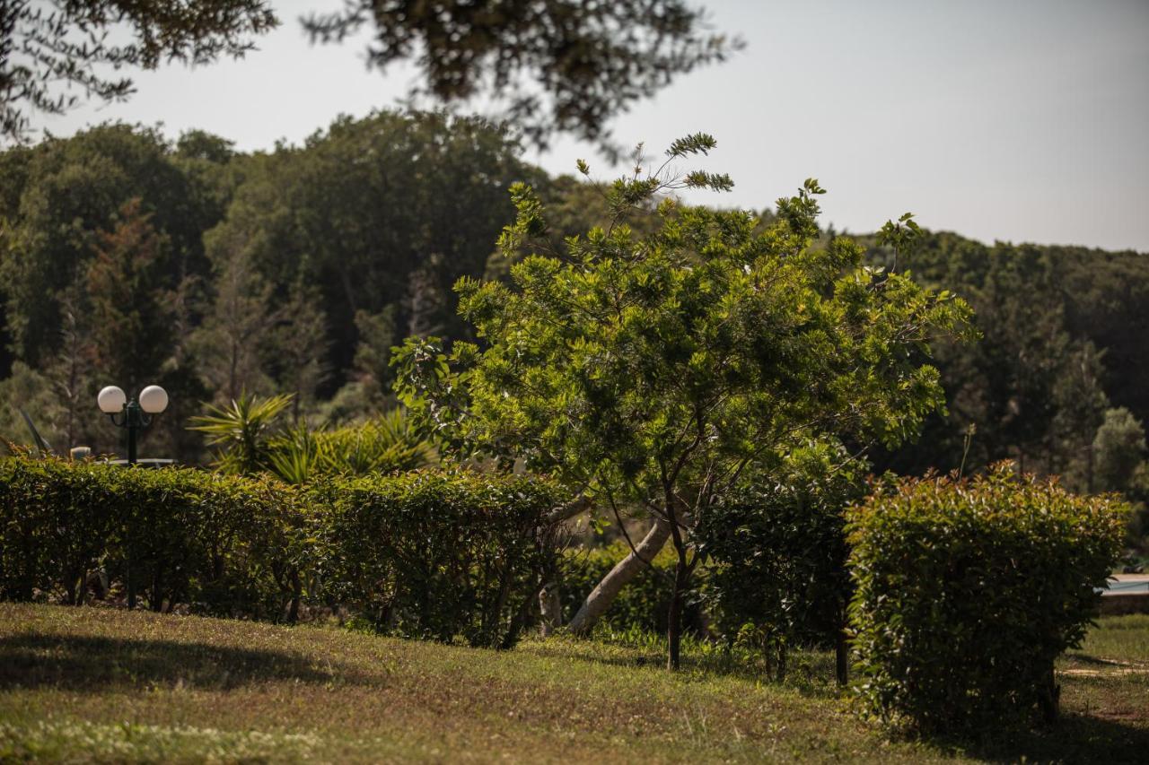 Villa Georgina B&B カタコロン エクステリア 写真